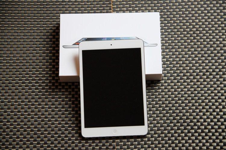Apple iPad mini 