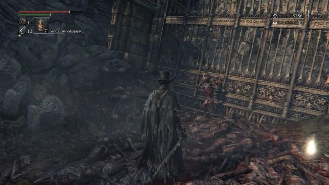 Bloodborne The Old Hunters (328) 