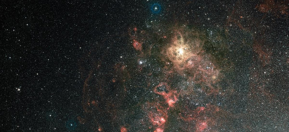 Hubble sprawdza, jak powstają masywne gwiazdy w Mgławicy Tarantula